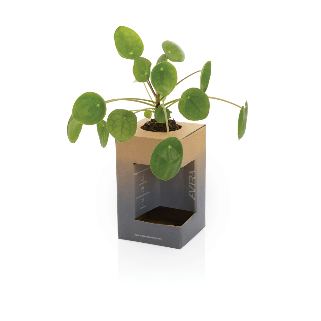 „Avira Alya RCS“ „Re-steel“ stiklinė 300 ml - Image 18