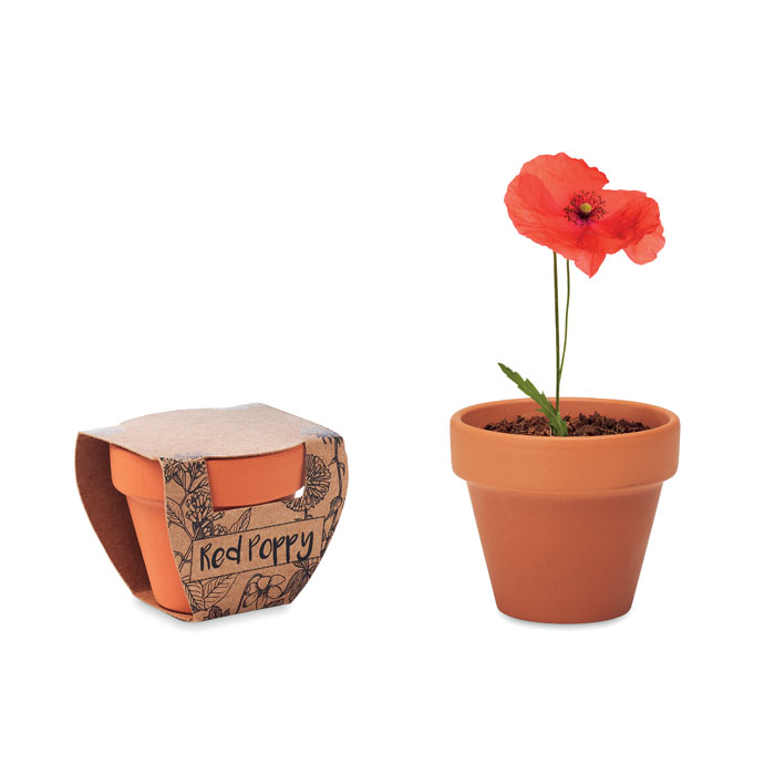 Terakotos vazonas „poppy“