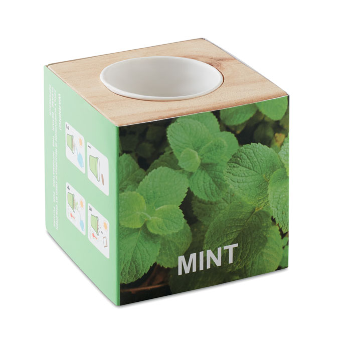 Medinis žolelių vazonas „MINT“