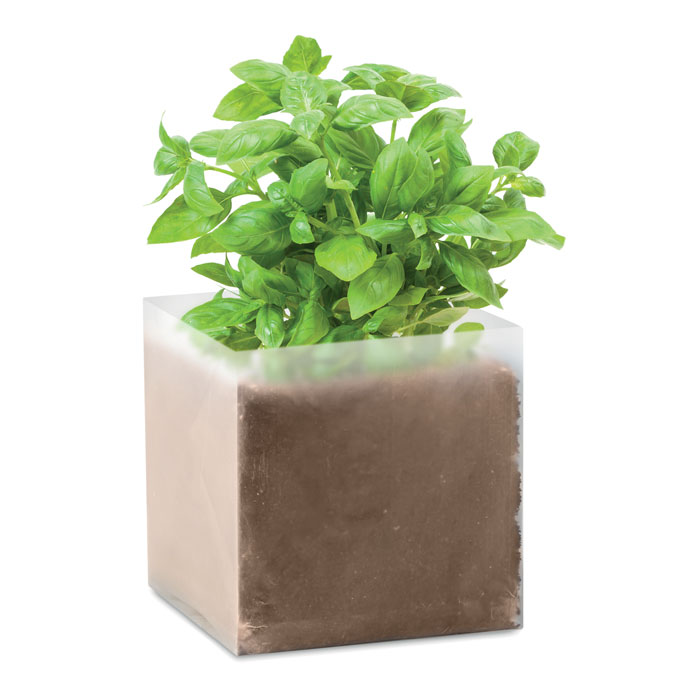 Kompostas su „BASIL“ sėklomis