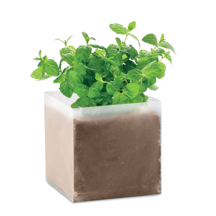 Kompostas su sėklomis „MINT“